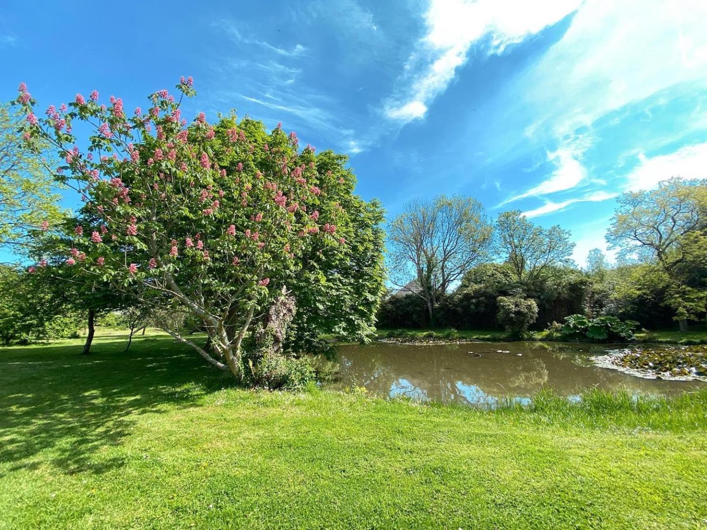 Chambres D'Hotes & Gites - Domaine Les Sources Portbail Esterno foto