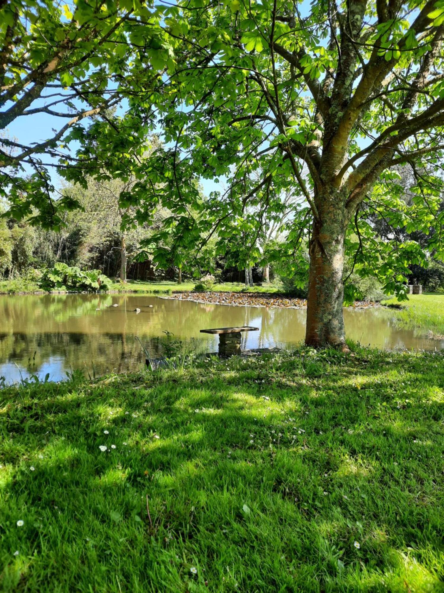 Chambres D'Hotes & Gites - Domaine Les Sources Portbail Esterno foto